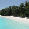Maldives, Baa Atoll, Fulhadhoo beach, palm trees