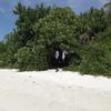 Maldives, North Male Atoll, Hulhumale beach, trees shadow