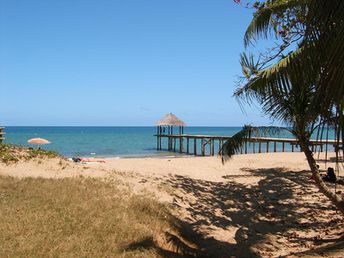 Mayotte, N'Gouja beach, under palm