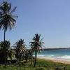 Nicaragua, Big Corn Island, Long Bay beach, palm trees