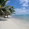 Nicaragua, Little Corn Island, Cocal beach, palm tree over water