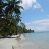 Panama, Bocas Del Toro, Colon island, Starfish beach, wet sand