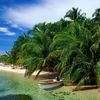 Panama, Bocas Del Toro, Zapatilla beach, boat