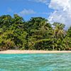 Panama, Bocas Del Toro, Zapatilla beach, trees