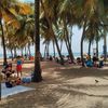 Puerto Rico island, San Juan, Playa Escambron beach, palm trees