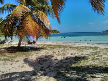 Puerto Rico, Vieques island, Media Luna beach