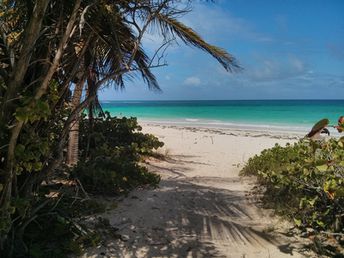 Puerto Rico, Vieques island, Navio beach