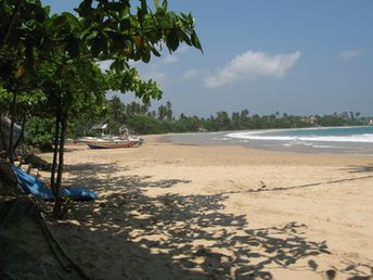 Шри-Ланка, пляж Диквелла, в тени