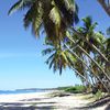 Sri Lanka, Hikkaduwa beach, palms