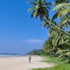 Шри-Ланка, пляж Матара, пальмы