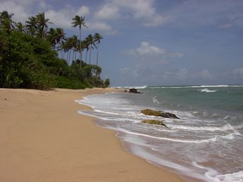 Шри-Ланка, пляж Матара, отель Villa Romagna