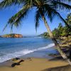 Sri Lanka, Mirissa beach, palm tree