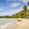 Sri Lanka, Mirissa beach, palm trees
