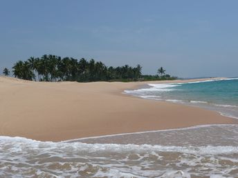 Sri Lanka, Nilaveli beach, sand and palms