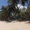 Thailand, Samui, Maenam beach, palms