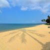 Vietnam, Phu Quoc island, Long Beach, palm shadow