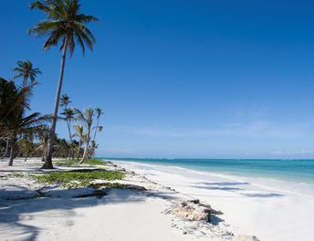 Zanzibar island, Bwejuu beach