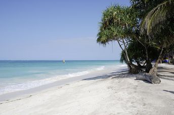 Zanzibar island, Kiwengwa beach