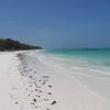 Zanzibar island, Kiwengwa beach, white sand