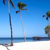 Zanzibar island, Kizimkazi beach, The Residence hotel, palm trees