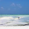 Zanzibar island, Paje beach, low tide