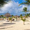 Aruba, Eagle beach, palms