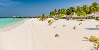 Baa Atoll, Kihaad Maldives beach