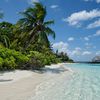 Bandos Maldives beach, water edge