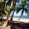 Costa Rica, Playa Carrillo beach, palms