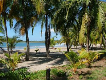 Costa Rica, Playa Carrillo beach, view from road