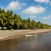 Costa Rica, Playa Esterillos beach, palms