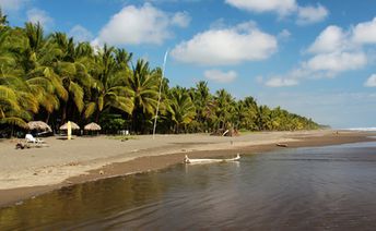 Costa Rica, Playa Esterillos beach, palms
