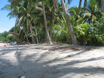 Costa Rica, Playa Samara beach, white sand