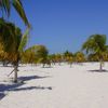 Куба, Кайо Ларго, пляж Сирена, пальмы