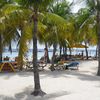 Curacao, Mambo beach, palm trees