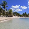 Curacao, Mambo beach, palms