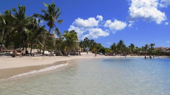 Curacao, Mambo beach, palms