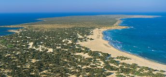 Greece, Crete island, Chrissi beach, aerial view