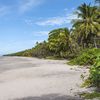 Guatemala, Monterrico beach, palms