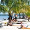 Guatemala, Rio Dulce, Playa Blanca beach, palm