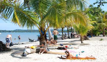 Guatemala, Rio Dulce, Playa Blanca beach, palm