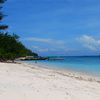 Indonesia, Gili Islands, Gili Meno beach, trees