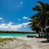 Кирибати, Киритимати (Остров Рождества), Пляж Бэйсин Лагун, пальмы