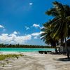 Kiribati, Kiritimati (Christmas Island), Bathing Lagoon beach, palms