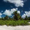 Kiribati, Kiritimati (Christmas Island), London beach, palms