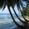 Madagascar, Ile Sainte Marie beach, palms over water