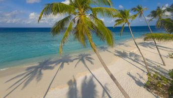 Maldives, Baa Atoll, Milaidhoo beach