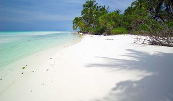 Maldives, Baa, Goidhoo, Fehendhoo beach