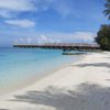 Maldives, Coco Bodu Hithi beach, water edge