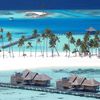 Maldives, Gili Lankanfushi beach, palms